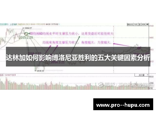 达林加如何影响博洛尼亚胜利的五大关键因素分析 达林加如何影响博洛尼亚胜利的五大关键因素分析