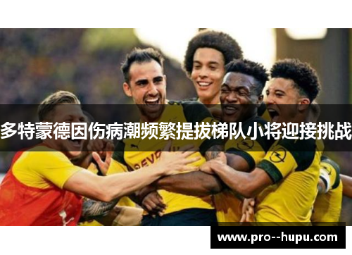 多特蒙德因伤病潮频繁提拔梯队小将迎接挑战
