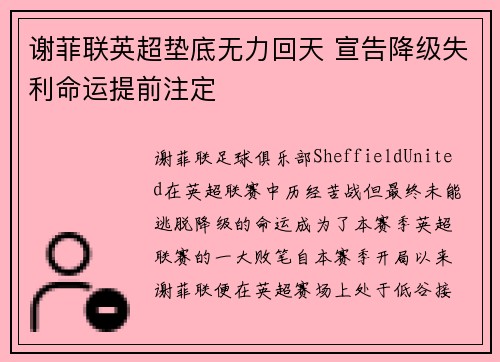 谢菲联英超垫底无力回天 宣告降级失利命运提前注定